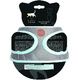PACK CHAT HARNAIS MINI + LAISSE STRIPE