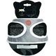 PACK CHAT HARNAIS MINI + LAISSE STRIPE