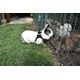 PACK RONGEUR HARNAIS + LAISSE STRIPE