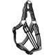 HARNAIS BAUDRIER STRIPE