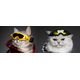 LUNETTES DE SKIHORIZON BLACK M