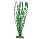 PLANT CLASSIC VALISNERIA MAJOR LG PCB 6