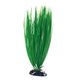 PLANT CLASSIC ACORUS MD .