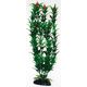 PLANT CLASSIC EGERIA FLOWERS BICOLOUR LG * PCB 6