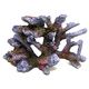 AMTRA REEF ROCK BRANCH SERIES SM 2