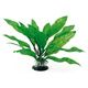 PLANT CLASSIC ECHINODORUS MD