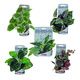 WONDER PLANT SERIES B 15-18 cm PCB 10