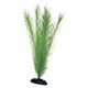 PLANT CLASSIC BLYXA LG *