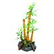 JAPAN BAMBOO PLANTE