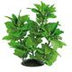 PLANT REPLICA HYGROPHILA 30 CM