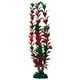 PLANT CLASSIC LUDWIGIA LG