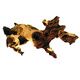BOIS MOPANI MD