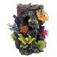 ROCK AVEL CORAUX M