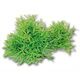 PLANT REPLICA BAMBOO 30X16CM