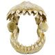 DENTS DE REQUIN S