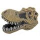 CRÂNE TYRANNOSAURUS