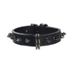 COLLIER HERCULE