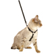 HARNAIS+LAISSE CHAT SAFE